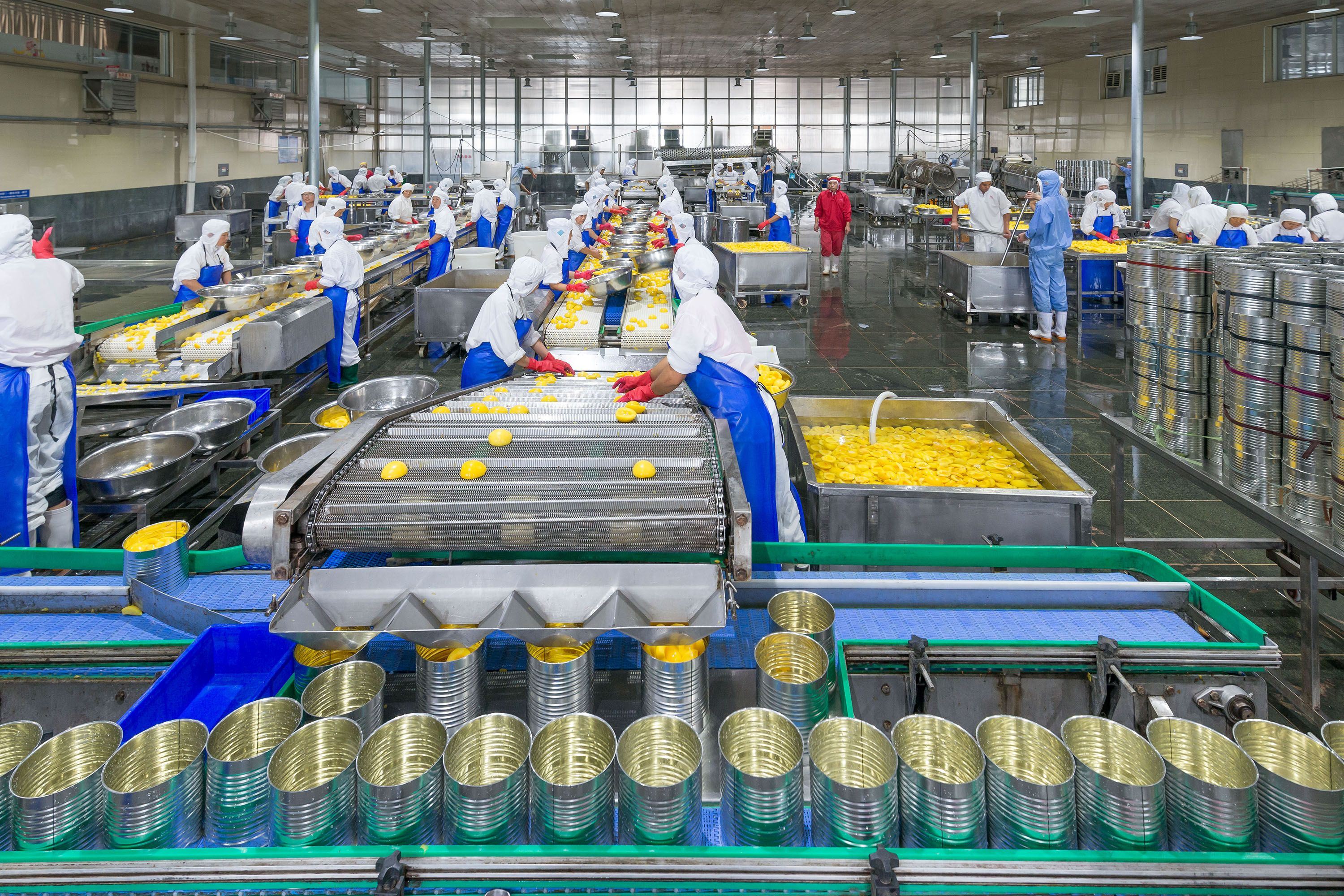 訂單暴漲十倍 山東小鎮生產出全國三成的黃桃罐頭